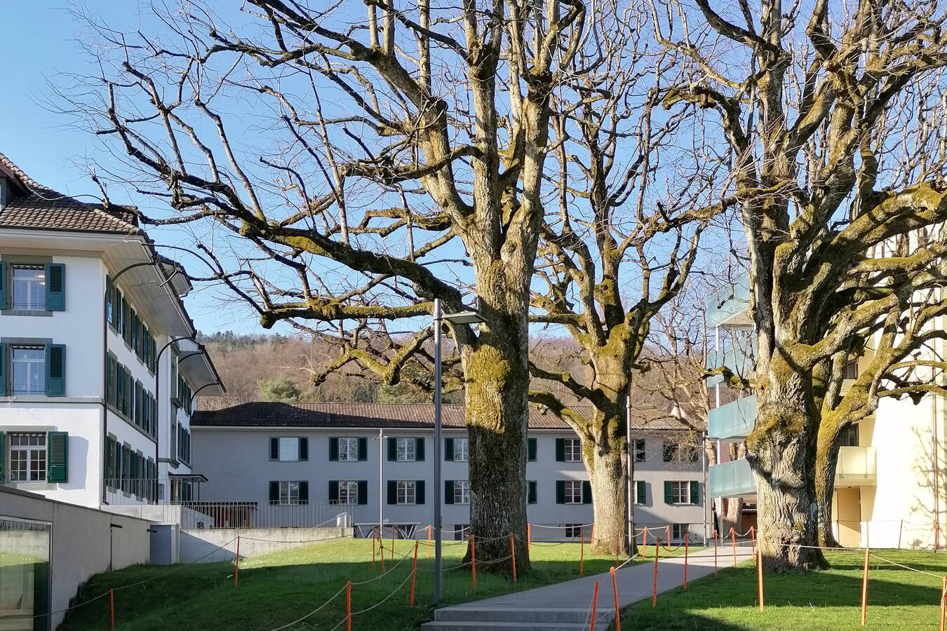 Sprachheilschule Wabern